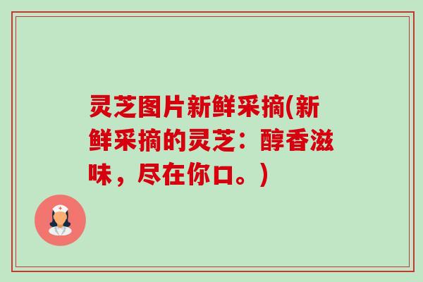 灵芝图片新鲜采摘(新鲜采摘的灵芝:醇香滋味,尽在你口。)-第1张图片-卓越灵芝孢子粉 灵芝图片新鲜采摘(新鲜采摘的灵芝:醇香滋味,尽在你口。)-第1张图片-卓越灵芝孢子粉
