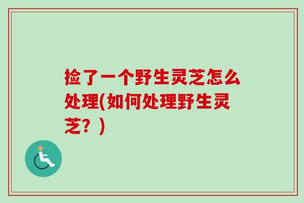 捡了一个野生灵芝怎么处理(如何处理野生灵芝？)-第1张图片-卓越灵芝孢子粉