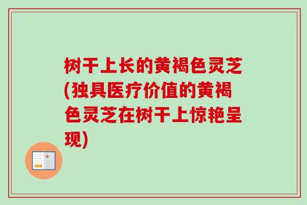 树干上长的黄褐色灵芝(独具医疗价值的黄褐色灵芝在树干上惊艳呈现)-第1张图片-卓越灵芝孢子粉 树干上长的黄褐色灵芝(独具医疗价值的黄褐色灵芝在树干上惊艳呈现)-第1张图片-卓越灵芝孢子粉