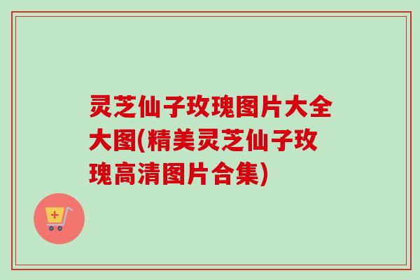灵芝仙子玫瑰图片大全大图(精美灵芝仙子玫瑰高清图片合集)-第1张图片-卓越灵芝孢子粉 灵芝仙子玫瑰图片大全大图(精美灵芝仙子玫瑰高清图片合集)-第1张图片-卓越灵芝孢子粉