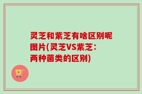 灵芝和紫芝有啥区别呢图片(灵芝VS紫芝：两种菌类的区别)-第1张图片-卓越灵芝孢子粉
