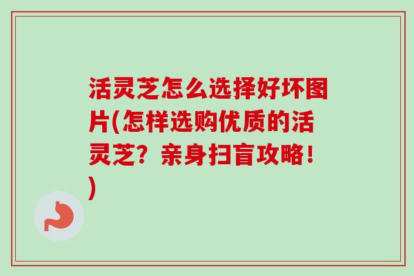 活灵芝怎么选择好坏图片(怎样选购优质的活灵芝?亲身扫盲攻略!)-第1张图片-卓越灵芝孢子粉 活灵芝怎么选择好坏图片(怎样选购优质的活灵芝?亲身扫盲攻略!)-第1张图片-卓越灵芝孢子粉