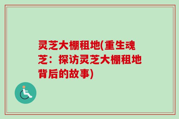 灵芝大棚租地(重生魂芝:探访灵芝大棚租地背后的故事)-第1张图片-卓越灵芝孢子粉 灵芝大棚租地(重生魂芝:探访灵芝大棚租地背后的故事)-第1张图片-卓越灵芝孢子粉