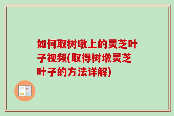 如何取树墩上的灵芝叶子视频(取得树墩灵芝叶子的方法详解)-第1张图片-卓越灵芝孢子粉 如何取树墩上的灵芝叶子视频(取得树墩灵芝叶子的方法详解)-第1张图片-卓越灵芝孢子粉