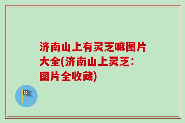 济南山上有灵芝嘛图片大全(济南山上灵芝:图片全收藏)-第1张图片-卓越灵芝孢子粉 济南山上有灵芝嘛图片大全(济南山上灵芝:图片全收藏)-第1张图片-卓越灵芝孢子粉