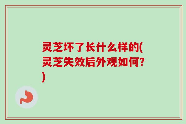 灵芝坏了长什么样的(灵芝失效后外观如何？)-第1张图片-卓越灵芝孢子粉