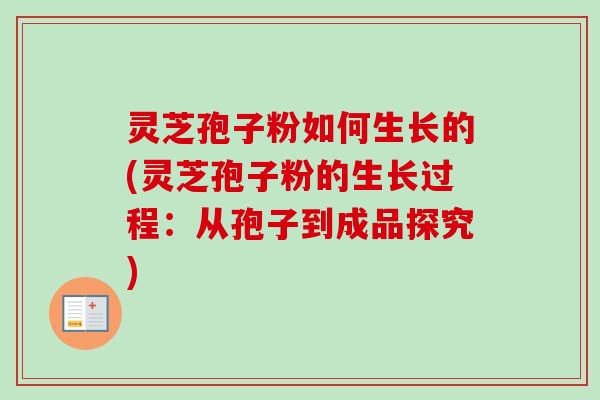 灵芝孢子粉如何生长的(灵芝孢子粉的生长过程：从孢子到成品探究)-第1张图片-卓越灵芝孢子粉