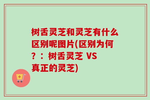 树舌灵芝和灵芝有什么区别呢图片(区别为何？：树舌灵芝 VS 真正的灵芝)-第1张图片-卓越灵芝孢子粉