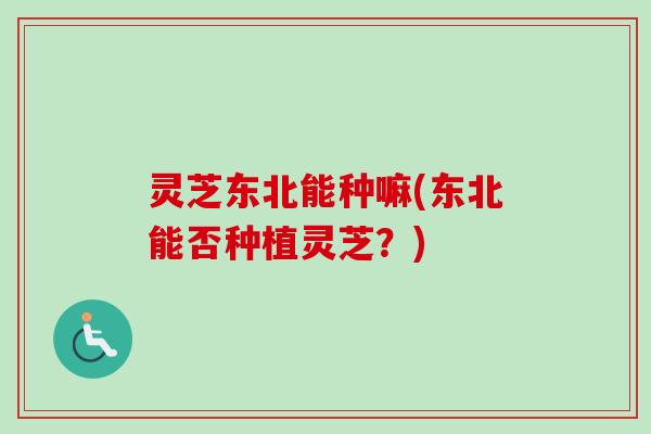 灵芝东北能种嘛(东北能否种植灵芝?)-第1张图片-卓越灵芝孢子粉 灵芝东北能种嘛(东北能否种植灵芝?)-第1张图片-卓越灵芝孢子粉