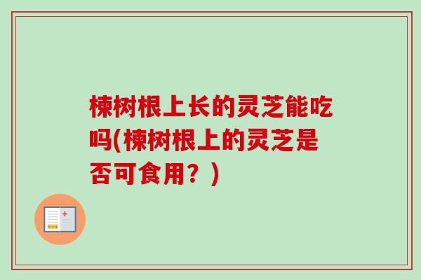 楝树根上长的灵芝能吃吗(楝树根上的灵芝是否可食用?)-第1张图片-卓越灵芝孢子粉 楝树根上长的灵芝能吃吗(楝树根上的灵芝是否可食用?)-第1张图片-卓越灵芝孢子粉