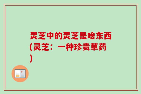 灵芝中的灵芝是啥东西(灵芝:一种珍贵草药)-第1张图片-卓越灵芝孢子粉 灵芝中的灵芝是啥东西(灵芝:一种珍贵草药)-第1张图片-卓越灵芝孢子粉
