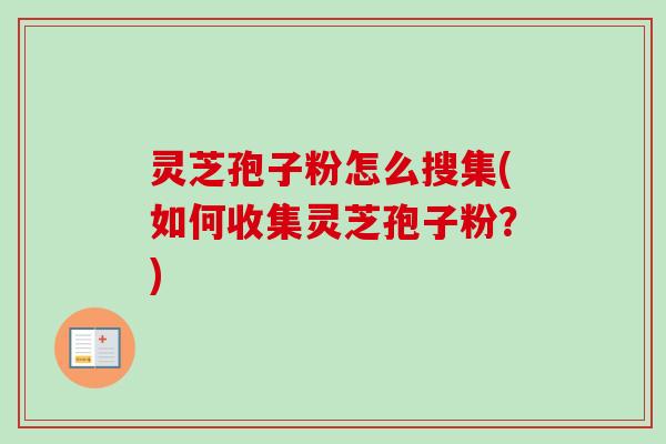 灵芝孢子粉怎么搜集(如何收集灵芝孢子粉?)-第1张图片-卓越灵芝孢子粉 灵芝孢子粉怎么搜集(如何收集灵芝孢子粉?)-第1张图片-卓越灵芝孢子粉