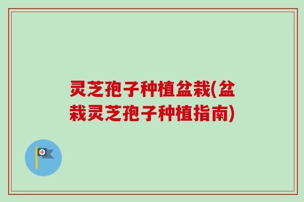 灵芝孢子种植盆栽(盆栽灵芝孢子种植指南)-第1张图片-卓越灵芝孢子粉 灵芝孢子种植盆栽(盆栽灵芝孢子种植指南)-第1张图片-卓越灵芝孢子粉