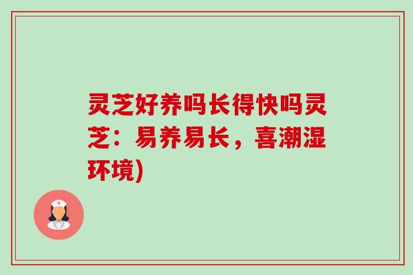 灵芝好养吗长得快吗灵芝:易养易长,喜潮湿环境)-第1张图片-卓越灵芝孢子粉 灵芝好养吗长得快吗灵芝:易养易长,喜潮湿环境)-第1张图片-卓越灵芝孢子粉