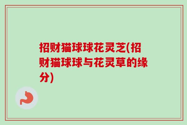 招财猫球球花灵芝(招财猫球球与花灵草的缘分)-第1张图片-卓越灵芝孢子粉