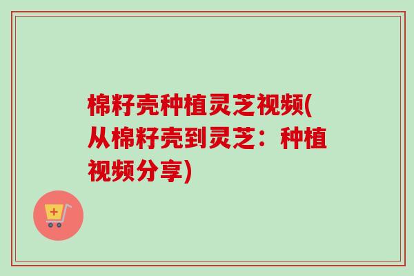 棉籽壳种植灵芝视频(从棉籽壳到灵芝:种植视频分享)-第1张图片-卓越灵芝孢子粉 棉籽壳种植灵芝视频(从棉籽壳到灵芝:种植视频分享)-第1张图片-卓越灵芝孢子粉