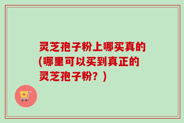 灵芝孢子粉上哪买真的(哪里可以买到真正的灵芝孢子粉?)-第1张图片-卓越灵芝孢子粉 灵芝孢子粉上哪买真的(哪里可以买到真正的灵芝孢子粉?)-第1张图片-卓越灵芝孢子粉