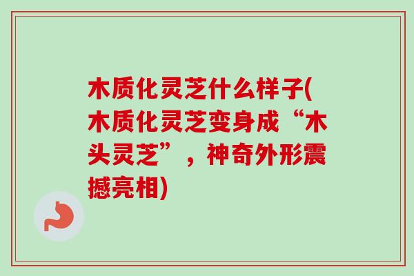 木质化灵芝什么样子(木质化灵芝变身成“木头灵芝”,神奇外形震撼亮相)-第1张图片-卓越灵芝孢子粉 木质化灵芝什么样子(木质化灵芝变身成“木头灵芝”,神奇外形震撼亮相)-第1张图片-卓越灵芝孢子粉
