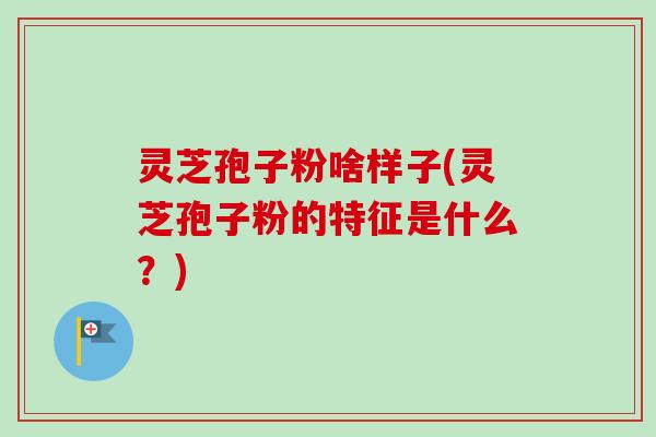 灵芝孢子粉啥样子(灵芝孢子粉的特征是什么?)-第1张图片-卓越灵芝孢子粉 灵芝孢子粉啥样子(灵芝孢子粉的特征是什么?)-第1张图片-卓越灵芝孢子粉