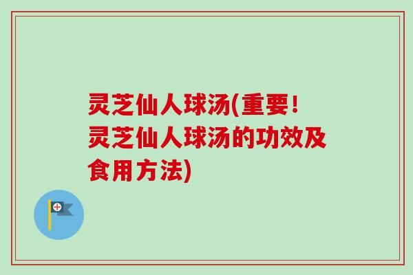 灵芝仙人球汤(重要!灵芝仙人球汤的功效及食用方法)-第1张图片-卓越灵芝孢子粉 灵芝仙人球汤(重要!灵芝仙人球汤的功效及食用方法)-第1张图片-卓越灵芝孢子粉