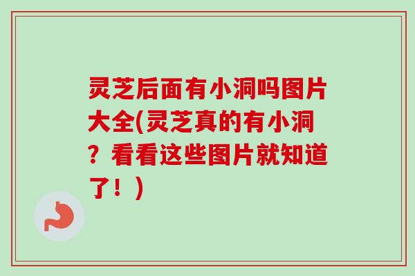 灵芝后面有小洞吗图片大全(灵芝真的有小洞?看看这些图片就知道了!)-第1张图片-卓越灵芝孢子粉 灵芝后面有小洞吗图片大全(灵芝真的有小洞?看看这些图片就知道了!)-第1张图片-卓越灵芝孢子粉