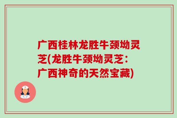 广西桂林龙胜牛颈坳灵芝(龙胜牛颈坳灵芝：广西神奇的天然宝藏)-第1张图片-卓越灵芝孢子粉