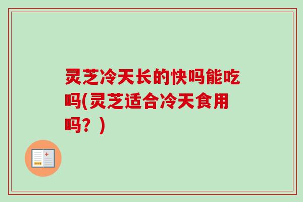 灵芝冷天长的快吗能吃吗(灵芝适合冷天食用吗?)-第1张图片-卓越灵芝孢子粉 灵芝冷天长的快吗能吃吗(灵芝适合冷天食用吗?)-第1张图片-卓越灵芝孢子粉