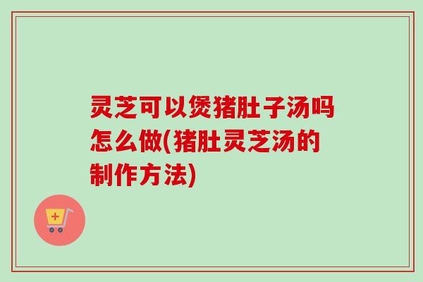 灵芝可以煲猪肚子汤吗怎么做(猪肚灵芝汤的制作方法)-第1张图片-卓越灵芝孢子粉 灵芝可以煲猪肚子汤吗怎么做(猪肚灵芝汤的制作方法)-第1张图片-卓越灵芝孢子粉