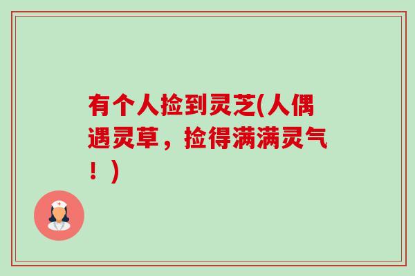 有个人捡到灵芝(人偶遇灵草，捡得满满灵气！)-第1张图片-卓越灵芝孢子粉