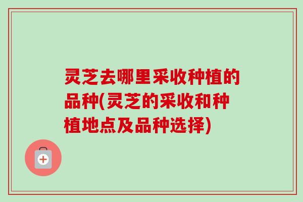 灵芝去哪里采收种植的品种(灵芝的采收和种植地点及品种选择)-第1张图片-卓越灵芝孢子粉 灵芝去哪里采收种植的品种(灵芝的采收和种植地点及品种选择)-第1张图片-卓越灵芝孢子粉