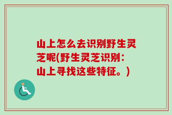 山上怎么去识别野生灵芝呢(野生灵芝识别：山上寻找这些特征。)-第1张图片-卓越灵芝孢子粉
