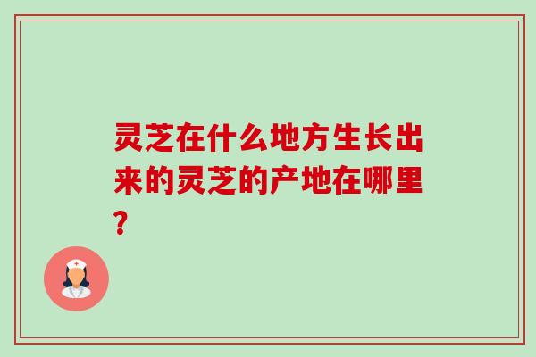 灵芝在什么地方生长出来的灵芝的产地在哪里?-第1张图片-卓越灵芝孢子粉 灵芝在什么地方生长出来的灵芝的产地在哪里?-第1张图片-卓越灵芝孢子粉