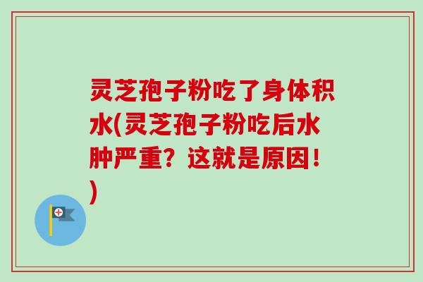 灵芝孢子粉吃了身体积水(灵芝孢子粉吃后水肿严重?这就是原因!)-第1张图片-卓越灵芝孢子粉 灵芝孢子粉吃了身体积水(灵芝孢子粉吃后水肿严重?这就是原因!)-第1张图片-卓越灵芝孢子粉