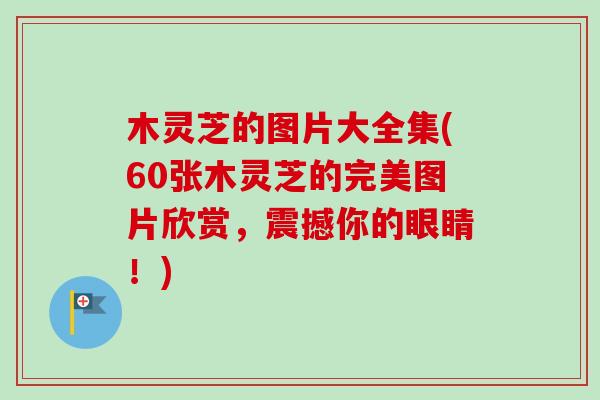 木灵芝的图片大全集(60张木灵芝的完美图片欣赏,震撼你的眼睛!)-第1张图片-卓越灵芝孢子粉 木灵芝的图片大全集(60张木灵芝的完美图片欣赏,震撼你的眼睛!)-第1张图片-卓越灵芝孢子粉