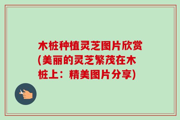 木桩种植灵芝图片欣赏(美丽的灵芝繁茂在木桩上:精美图片分享)-第1张图片-卓越灵芝孢子粉 木桩种植灵芝图片欣赏(美丽的灵芝繁茂在木桩上:精美图片分享)-第1张图片-卓越灵芝孢子粉
