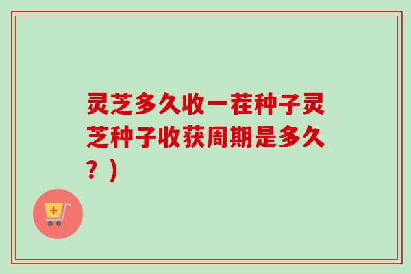 灵芝多久收一茬种子灵芝种子收获周期是多久?)-第1张图片-卓越灵芝孢子粉 灵芝多久收一茬种子灵芝种子收获周期是多久?)-第1张图片-卓越灵芝孢子粉
