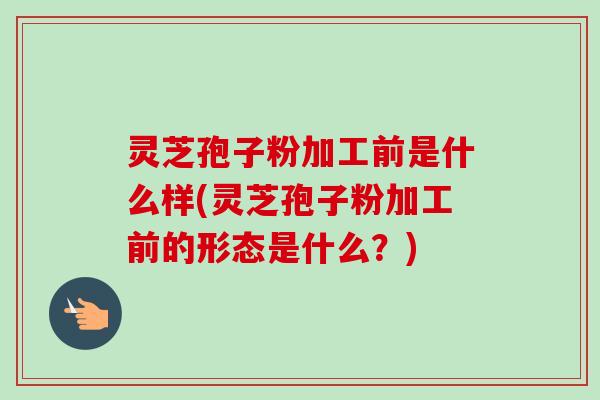 灵芝孢子粉加工前是什么样(灵芝孢子粉加工前的形态是什么？)-第1张图片-卓越灵芝孢子粉