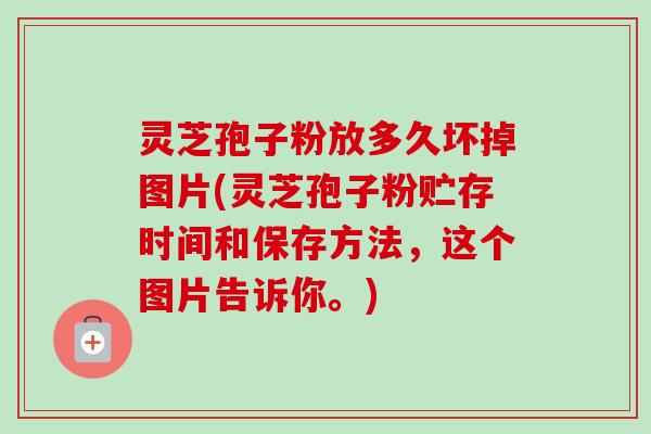灵芝孢子粉放多久坏掉图片(灵芝孢子粉贮存时间和保存方法，这个图片告诉你。)-第1张图片-卓越灵芝孢子粉