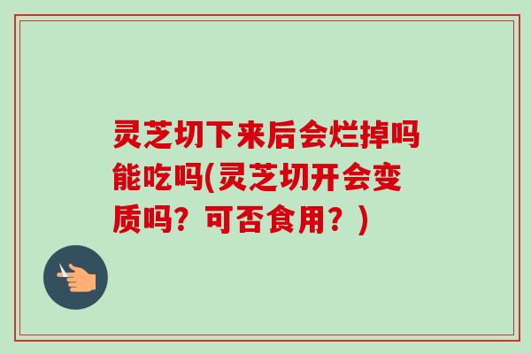 灵芝切下来后会烂掉吗能吃吗(灵芝切开会变质吗?可否食用?)-第1张图片-卓越灵芝孢子粉 灵芝切下来后会烂掉吗能吃吗(灵芝切开会变质吗?可否食用?)-第1张图片-卓越灵芝孢子粉