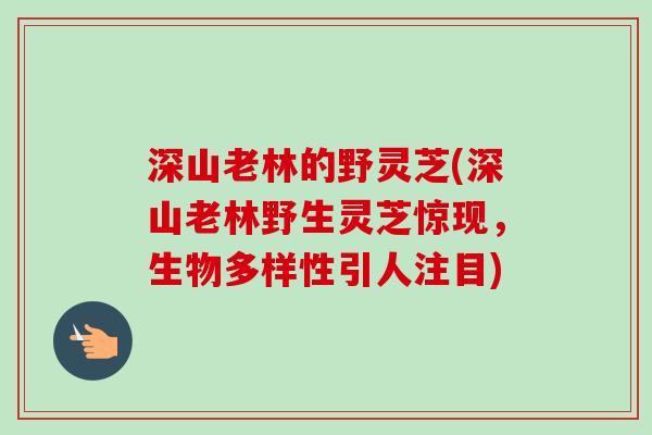 深山老林的野灵芝(深山老林野生灵芝惊现,生物多样性引人注目)-第1张图片-卓越灵芝孢子粉 深山老林的野灵芝(深山老林野生灵芝惊现,生物多样性引人注目)-第1张图片-卓越灵芝孢子粉