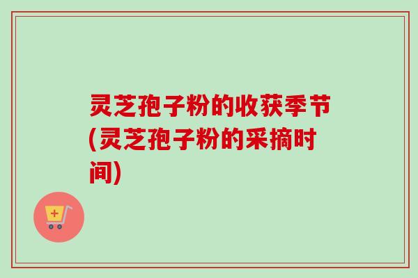 灵芝孢子粉的收获季节(灵芝孢子粉的采摘时间)-第1张图片-卓越灵芝孢子粉