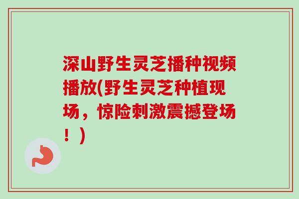 深山野生灵芝播种视频播放(野生灵芝种植现场,惊险刺激震撼登场!)-第1张图片-卓越灵芝孢子粉 深山野生灵芝播种视频播放(野生灵芝种植现场,惊险刺激震撼登场!)-第1张图片-卓越灵芝孢子粉