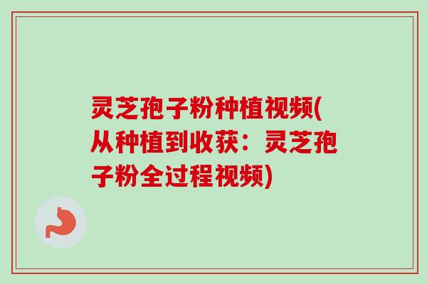 灵芝孢子粉种植视频(从种植到收获：灵芝孢子粉全过程视频)-第1张图片-卓越灵芝孢子粉