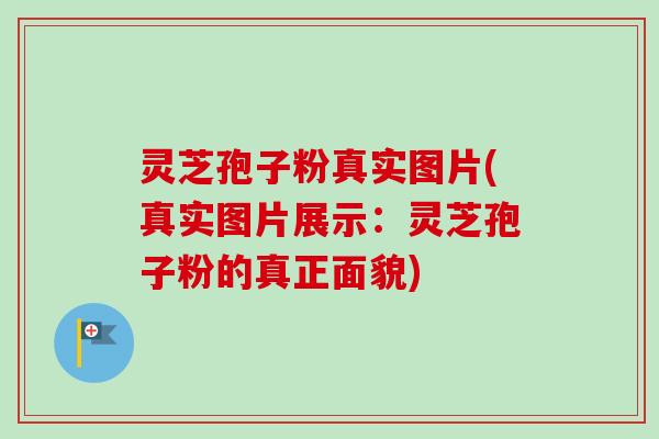 灵芝孢子粉真实图片(真实图片展示:灵芝孢子粉的真正面貌)-第1张图片-卓越灵芝孢子粉 灵芝孢子粉真实图片(真实图片展示:灵芝孢子粉的真正面貌)-第1张图片-卓越灵芝孢子粉