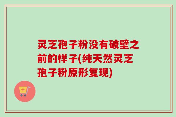 灵芝孢子粉没有破壁之前的样子(纯天然灵芝孢子粉原形复现)-第1张图片-卓越灵芝孢子粉