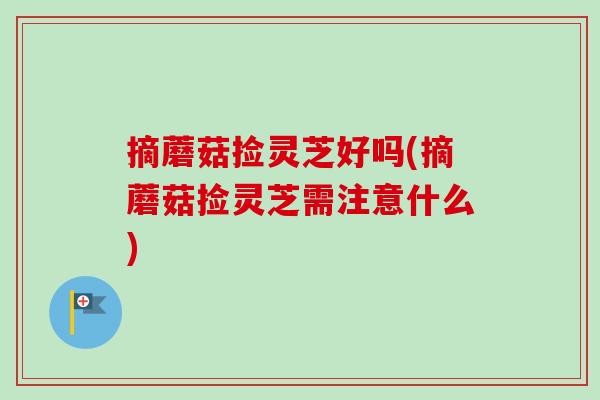 摘蘑菇捡灵芝好吗(摘蘑菇捡灵芝需注意什么)-第1张图片-卓越灵芝孢子粉 摘蘑菇捡灵芝好吗(摘蘑菇捡灵芝需注意什么)-第1张图片-卓越灵芝孢子粉