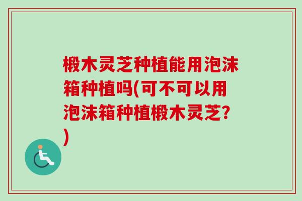 椴木灵芝种植能用泡沫箱种植吗(可不可以用泡沫箱种植椴木灵芝?)-第1张图片-卓越灵芝孢子粉 椴木灵芝种植能用泡沫箱种植吗(可不可以用泡沫箱种植椴木灵芝?)-第1张图片-卓越灵芝孢子粉