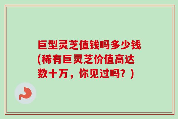 巨型灵芝值钱吗多少钱(稀有巨灵芝价值高达数十万,你见过吗?)-第1张图片-卓越灵芝孢子粉 巨型灵芝值钱吗多少钱(稀有巨灵芝价值高达数十万,你见过吗?)-第1张图片-卓越灵芝孢子粉