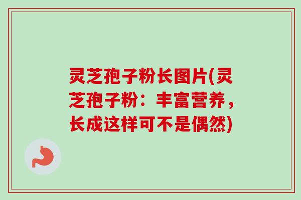 灵芝孢子粉长图片(灵芝孢子粉:丰富营养,长成这样可不是偶然)-第1张图片-卓越灵芝孢子粉 灵芝孢子粉长图片(灵芝孢子粉:丰富营养,长成这样可不是偶然)-第1张图片-卓越灵芝孢子粉