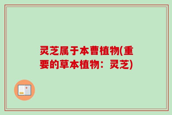灵芝属于本曹植物(重要的草本植物：灵芝)-第1张图片-卓越灵芝孢子粉